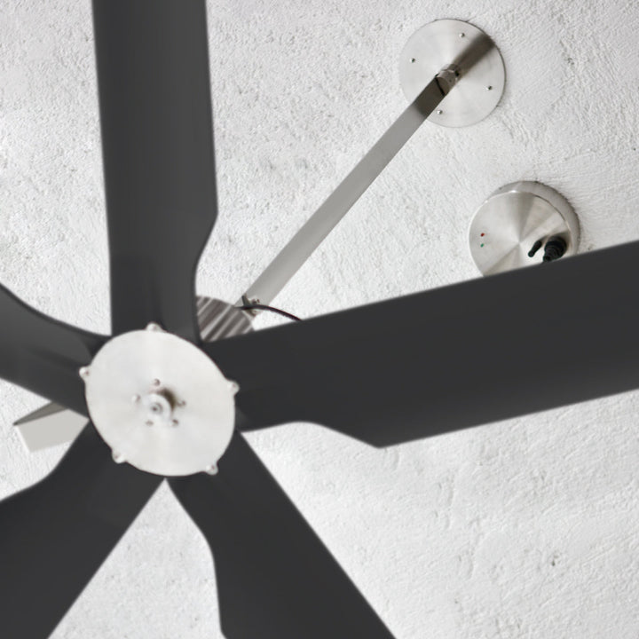 Two Ceiling Fan TWO01 Ceiling Fans CEA Design