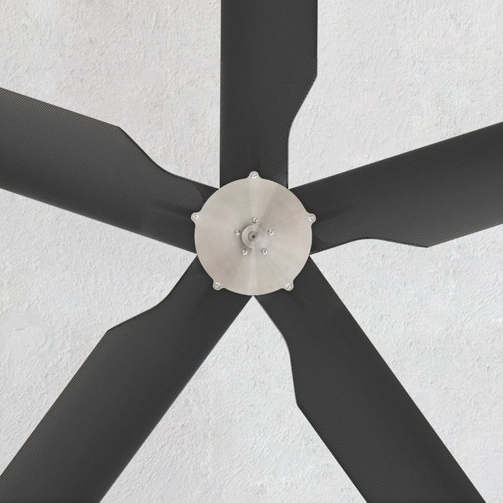 Two Ceiling Fan TWO01 Ceiling Fans CEA Design