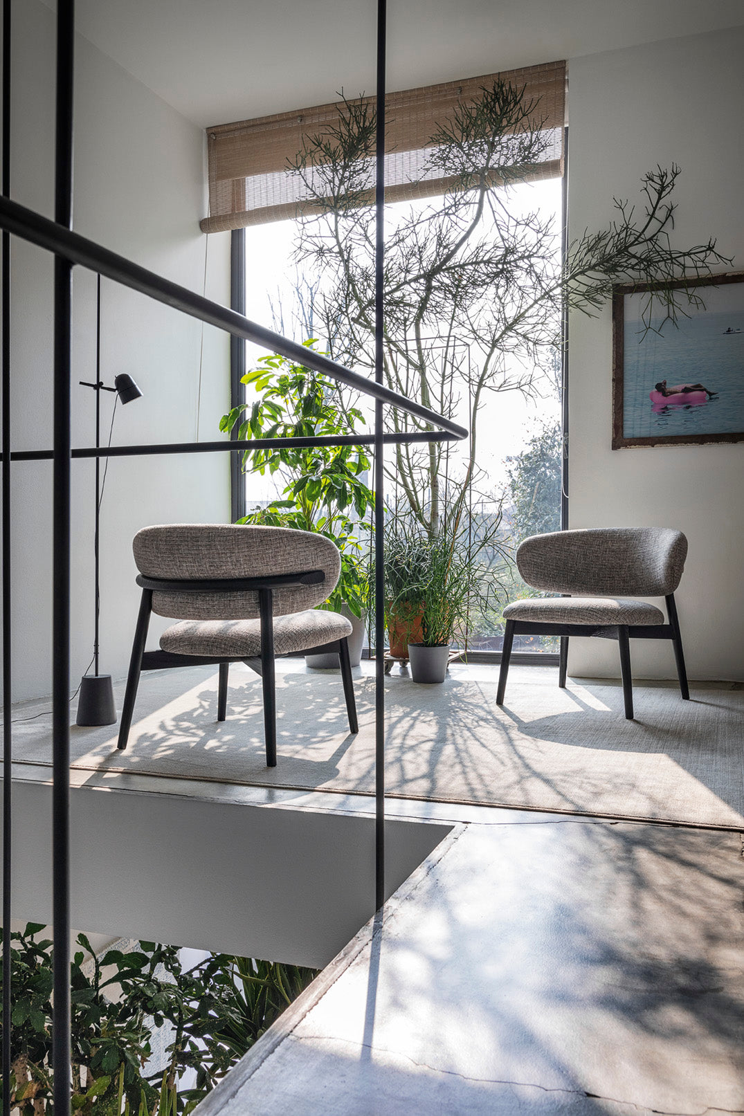 Oleandro Armchair Armchair Calligaris