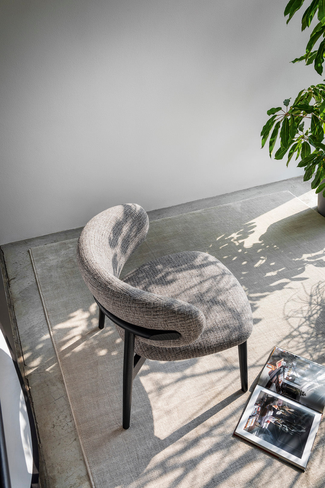 Oleandro Armchair Armchair Calligaris