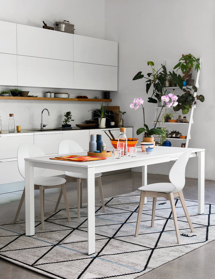 Basil Chair Bleached Beech Matt Optic White  Calligaris   
