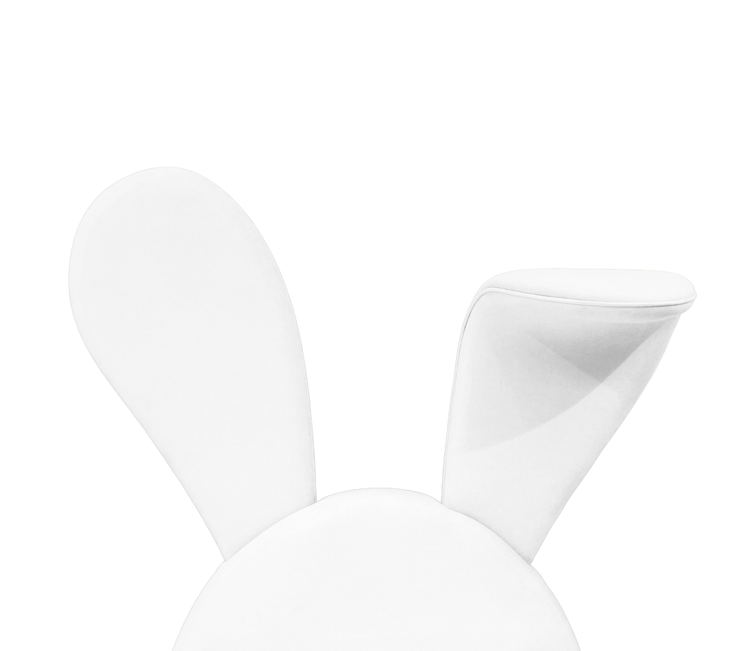 Mr. Bunny Bed  Circu   