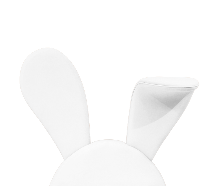 Mr. Bunny Bed  Circu   