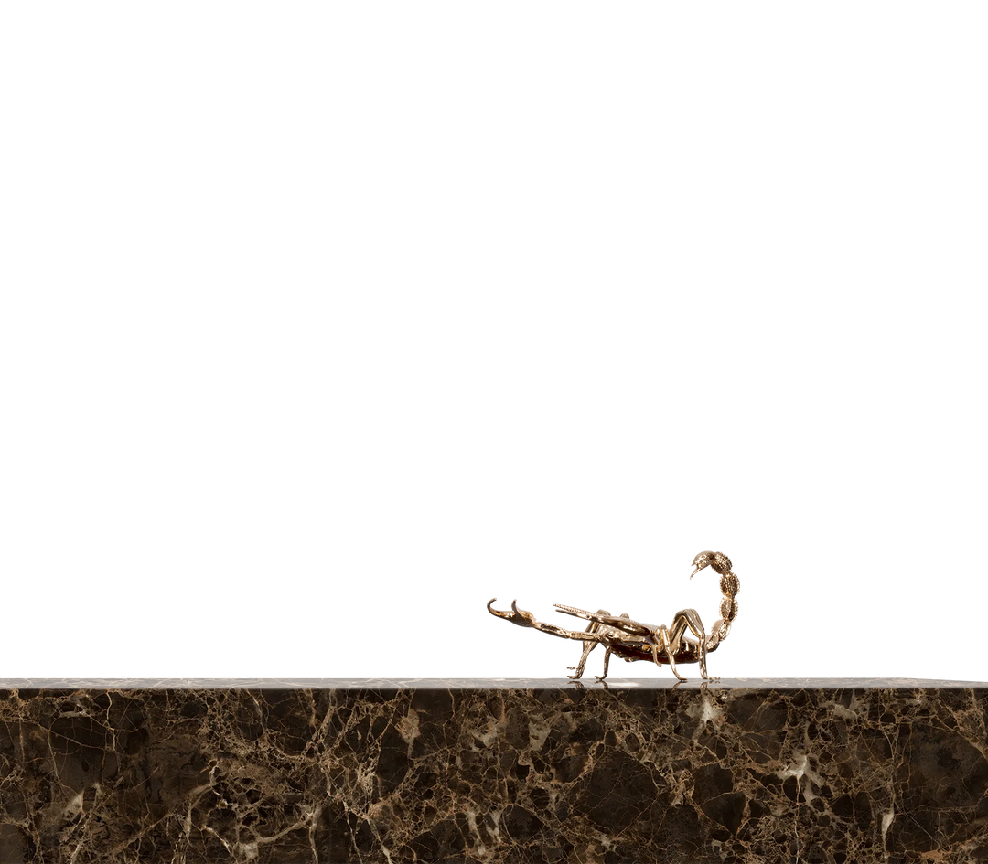 Metamorphosis Center Table  Boca Do Lobo   