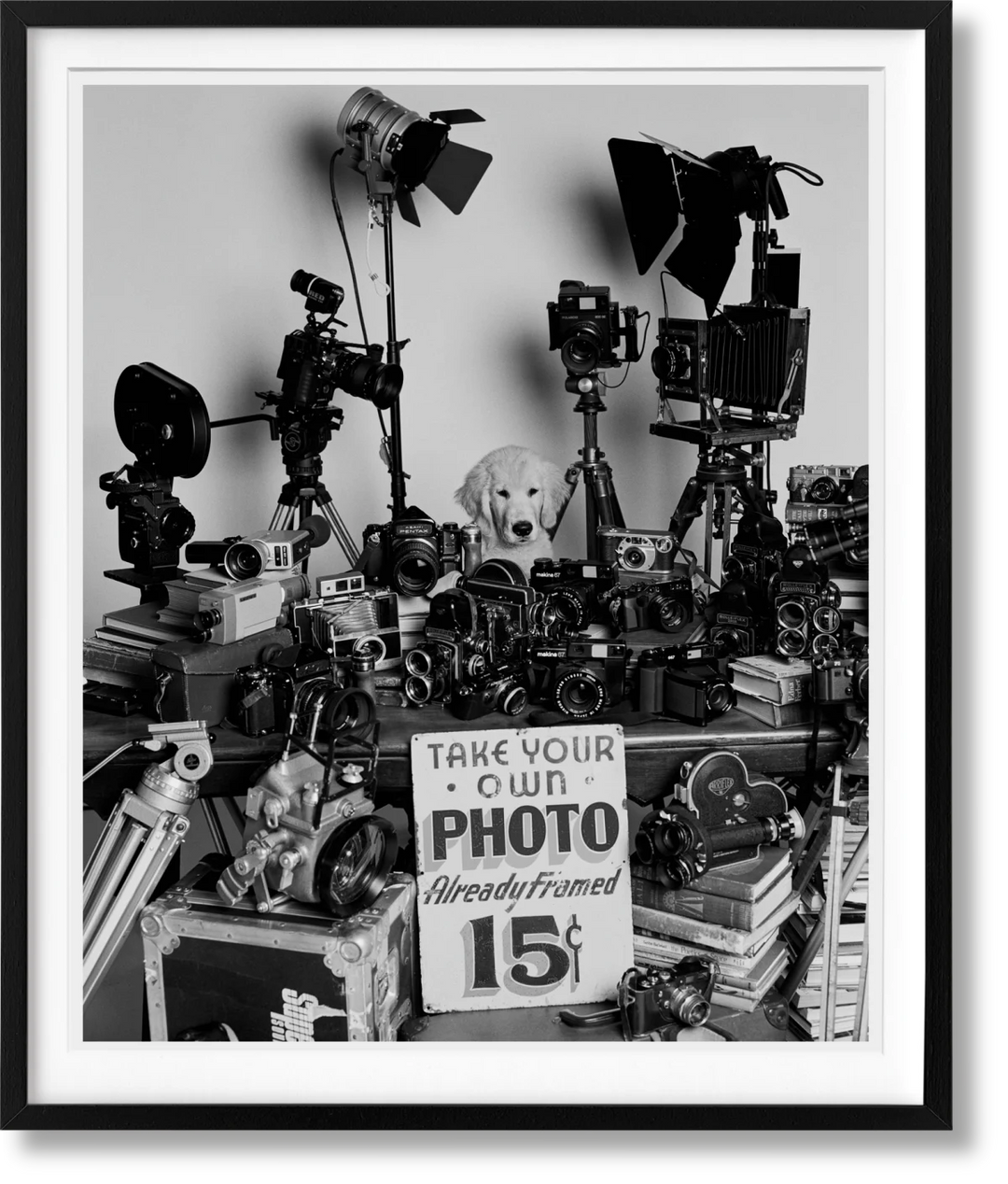 Bruce Weber. The Golden Retriever Photographic Society. Art