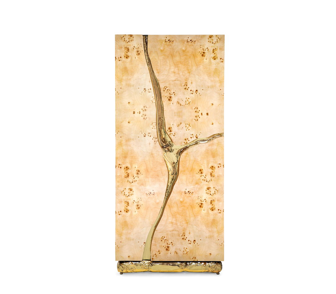 lapiaz cabinet - Image 28