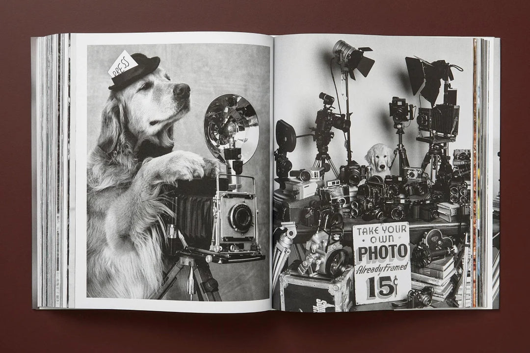【別倉庫からの配送】 Bruce Weber. Art Society. Photographic Retriever Golden The トップス