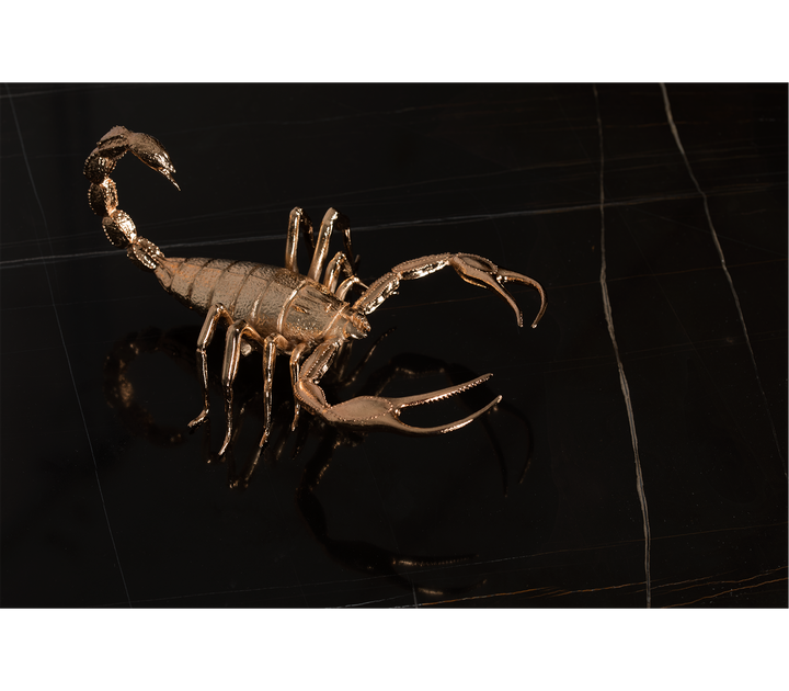 Metamorphosis Center Table  Boca Do Lobo   