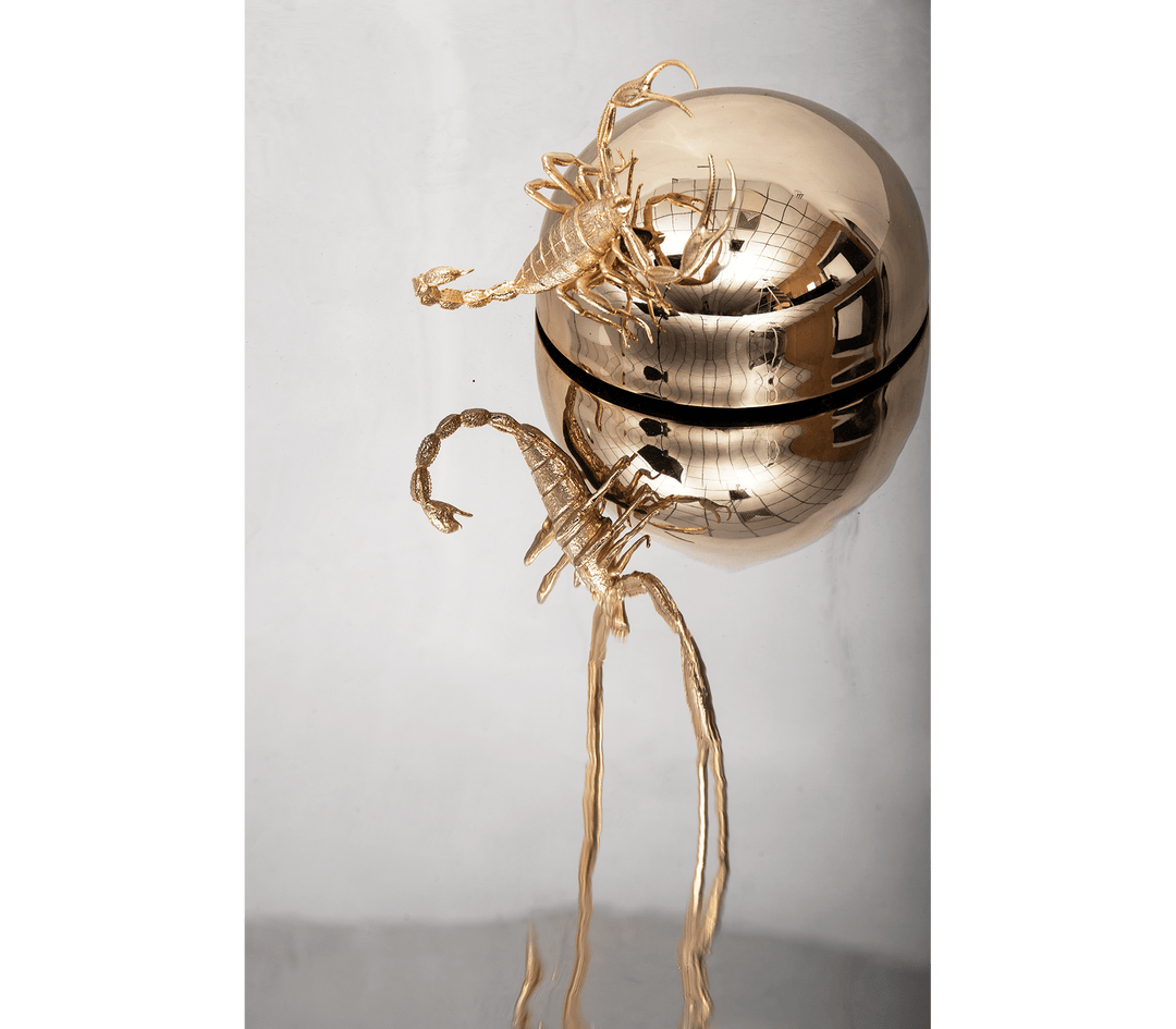 metamorphosis mirror Mirrors Boca Do Lobo