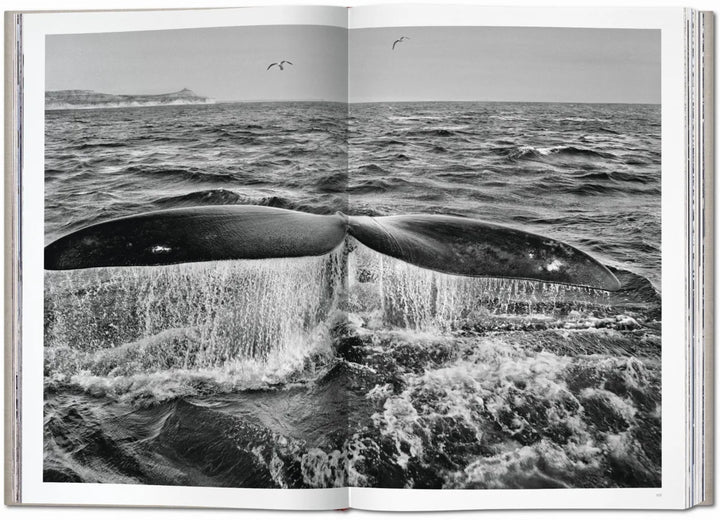 Sebastião Salgado. Genesis Print Books Taschen   