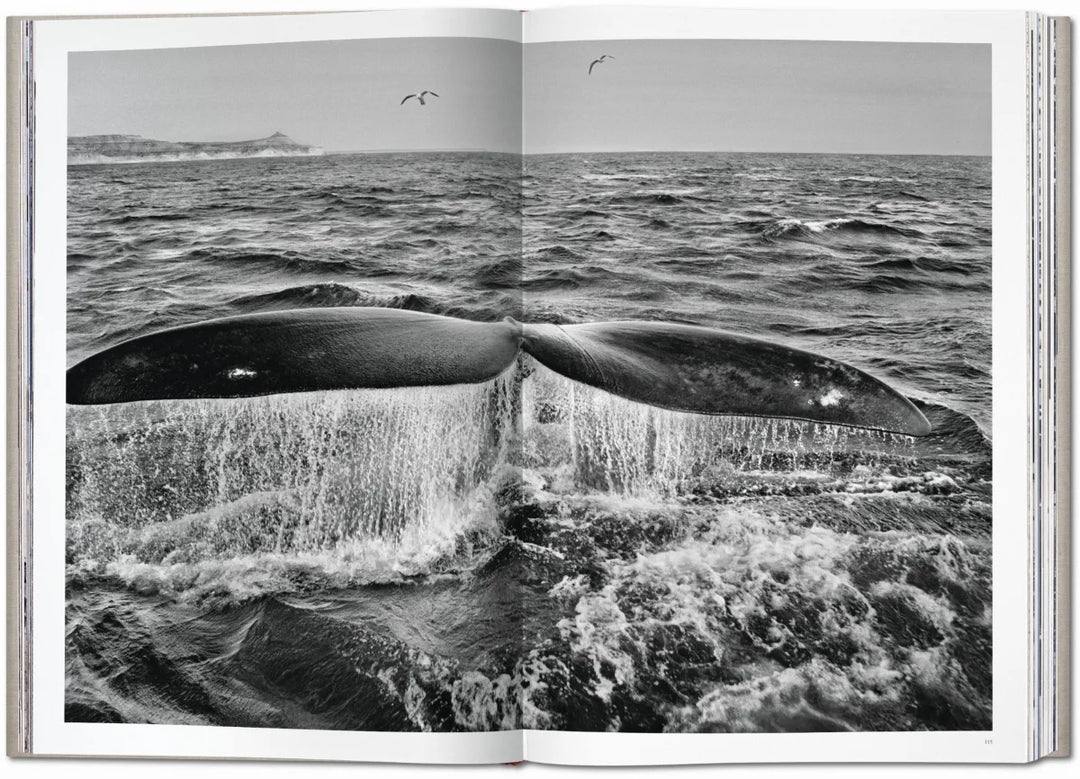 Sebastião Salgado. Genesis. TASCHEN Books