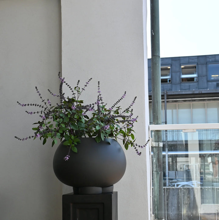 Urchin Plant Pot, Medio - Coffee Home & Garden:Home Décor:Other Home Décor 101 Copenhagen   