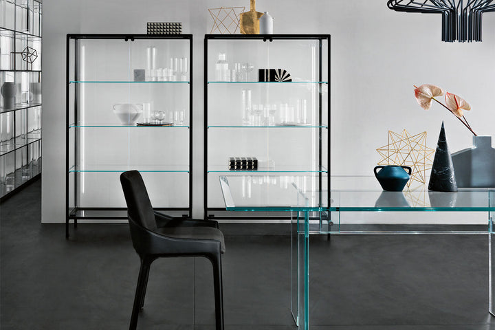 Echo Display Cabinet
