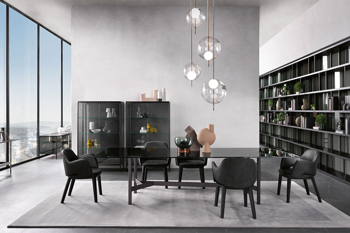 Newton Dining Chair Dining Chairs Fiam Italia