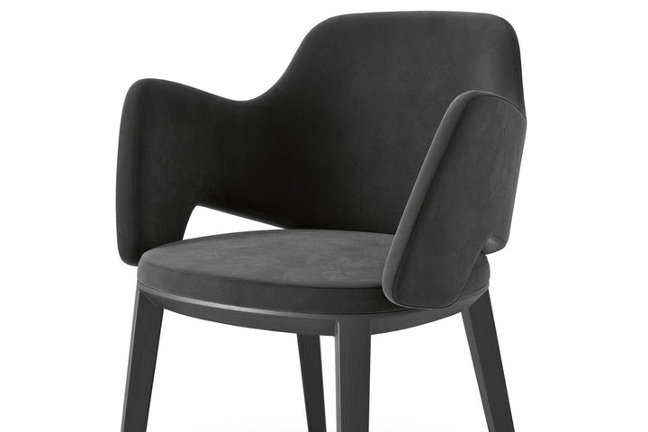 Newton Dining Chair Dining Chairs Fiam Italia