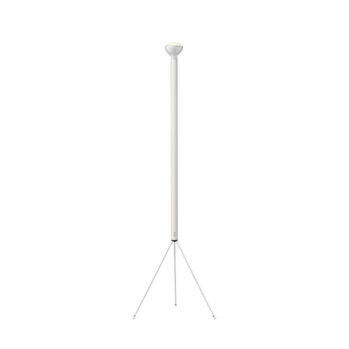 Luminator Floor Lamp Floor Lamps FLOS White