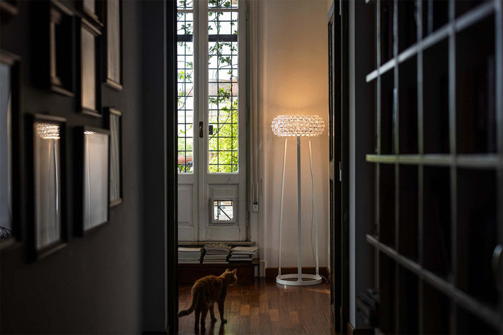 Caboche Plus Floor Lamp Floor Lamps Foscarini