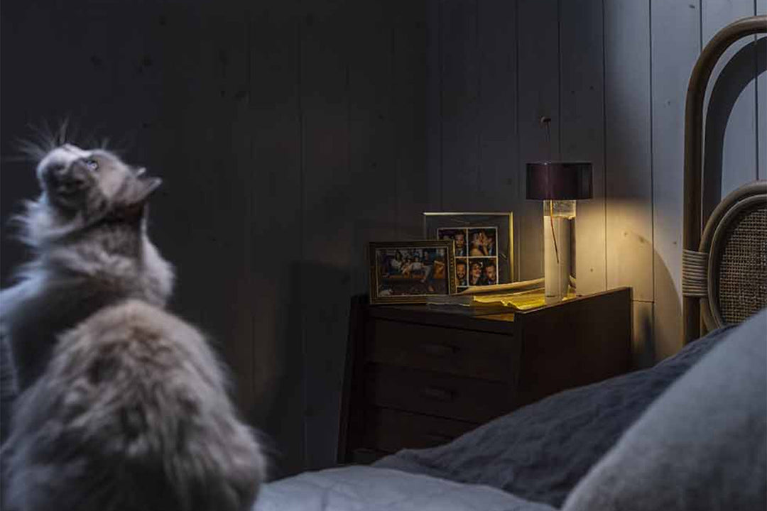 Fleur Table Lamp Table Lamps Foscarini