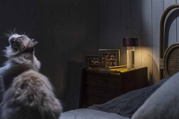Fleur Table Lamp Table Lamps Foscarini