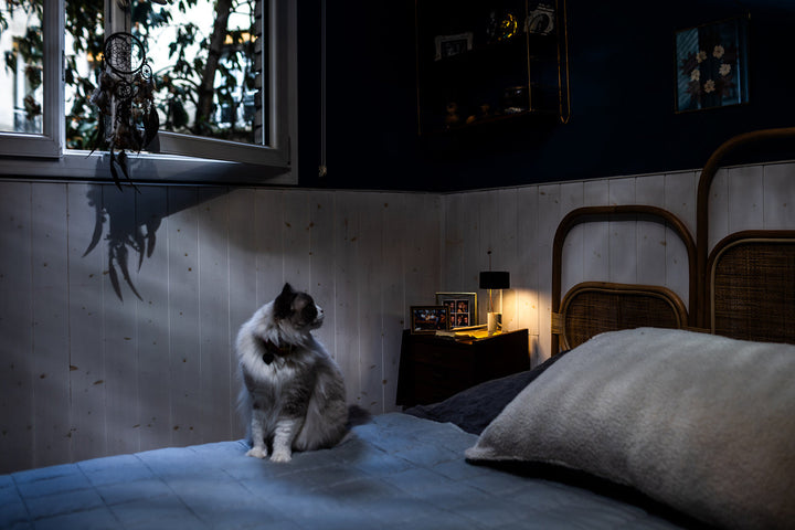 Fleur Table Lamp Table Lamps Foscarini
