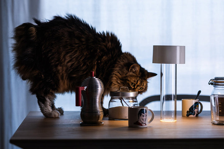 Fleur Table Lamp Table Lamps Foscarini