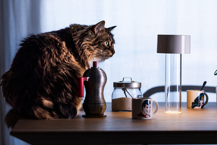 Fleur Table Lamp Table Lamps Foscarini