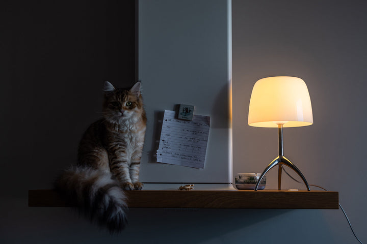 Lumiere Table Lamp Table Lamps Foscarini