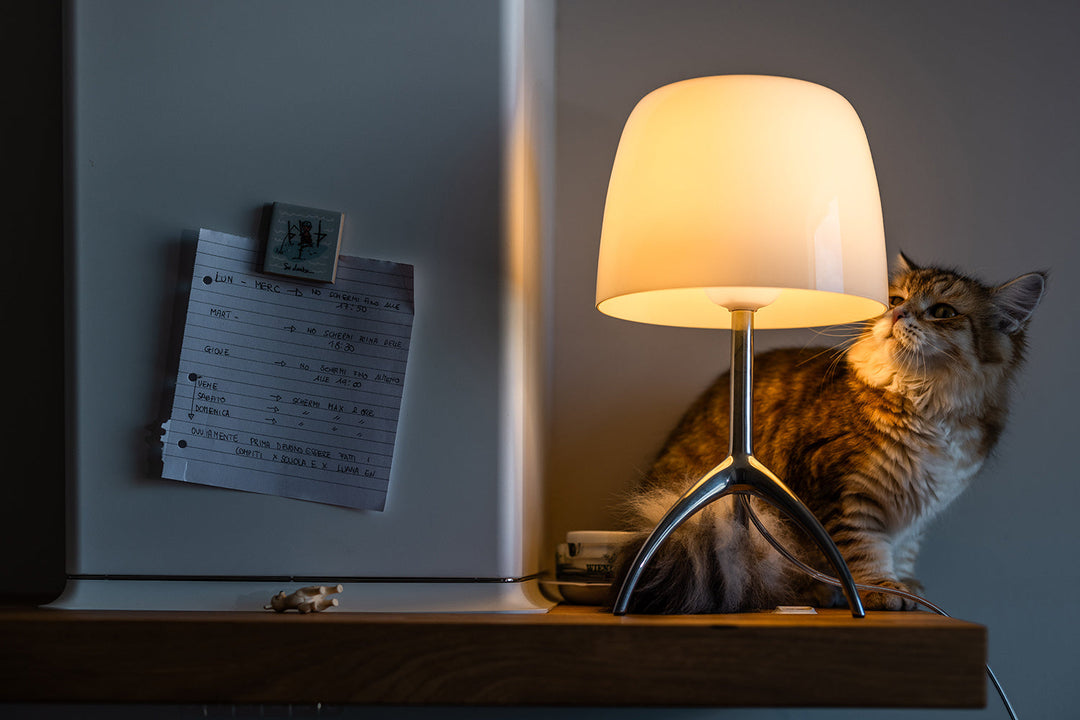 Lumiere Table Lamp
