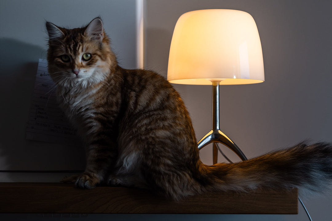 Lumiere Table Lamp