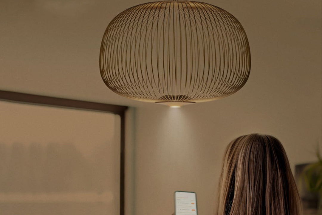 Spokes Ambient Suspension Light Ceiling Lights Foscarini