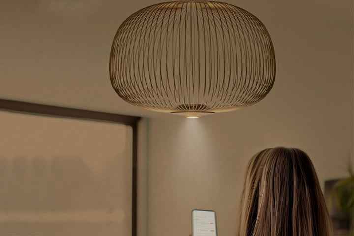 Spokes Ambient Suspension Light Ceiling Lights Foscarini