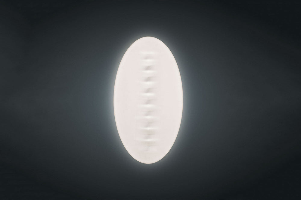 Superficie Wall Sconce Wall Sconces Foscarini