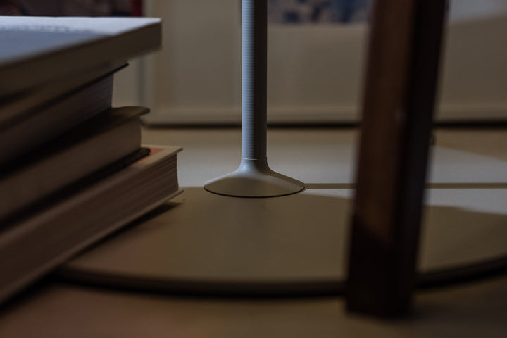 Twiggy Lettura Floor Lamp Floor Lamps Foscarini