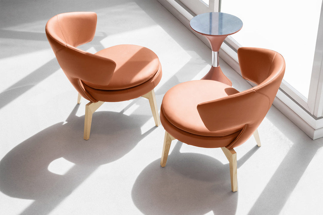 Lolita Armchair Chairs Gamma Arredamenti