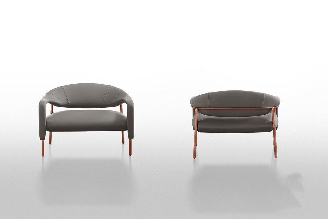 Spider Armchair Chairs Gamma Arredamenti