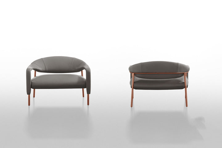 Spider Armchair Chairs Gamma Arredamenti