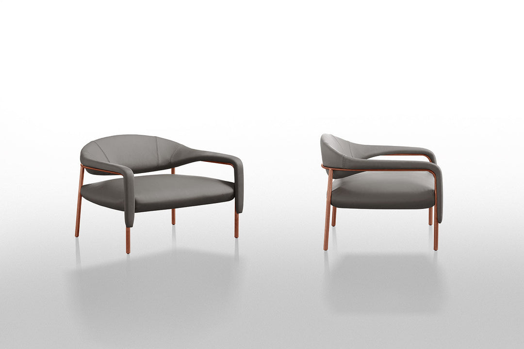 Spider Armchair Chairs Gamma Arredamenti
