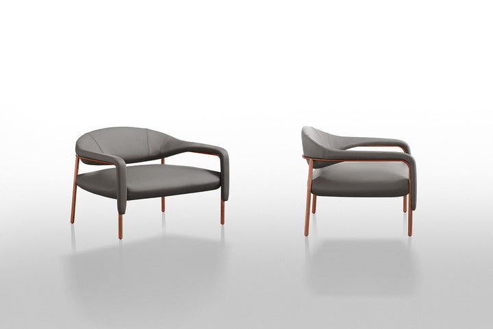 Spider Armchair Chairs Gamma Arredamenti