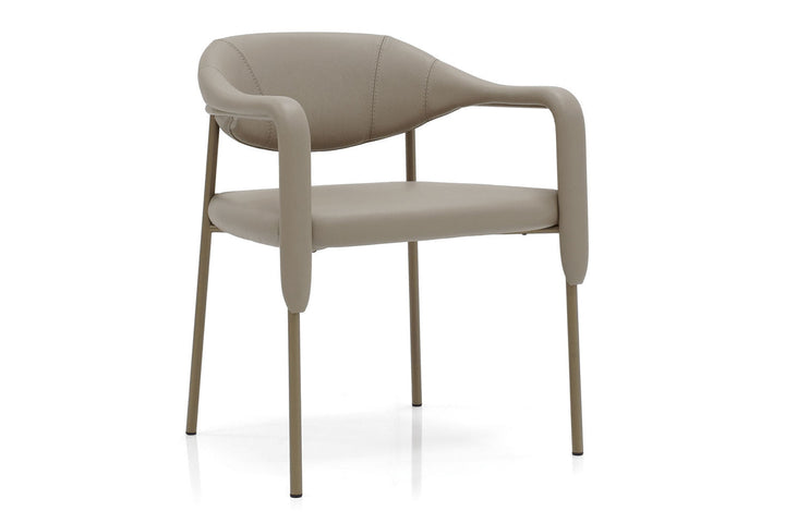 Spider Dining Chair Dining Chairs Gamma Arredamenti