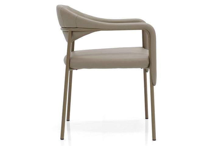 Spider Dining Chair Dining Chairs Gamma Arredamenti