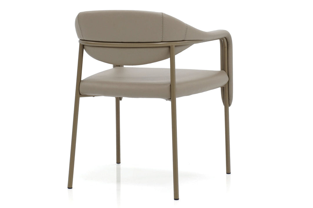 Spider Dining Chair Dining Chairs Gamma Arredamenti