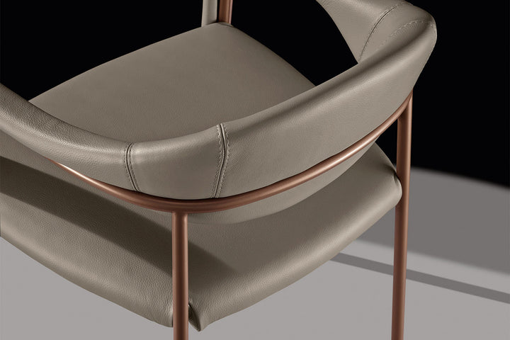 Spider Dining Chair Dining Chairs Gamma Arredamenti