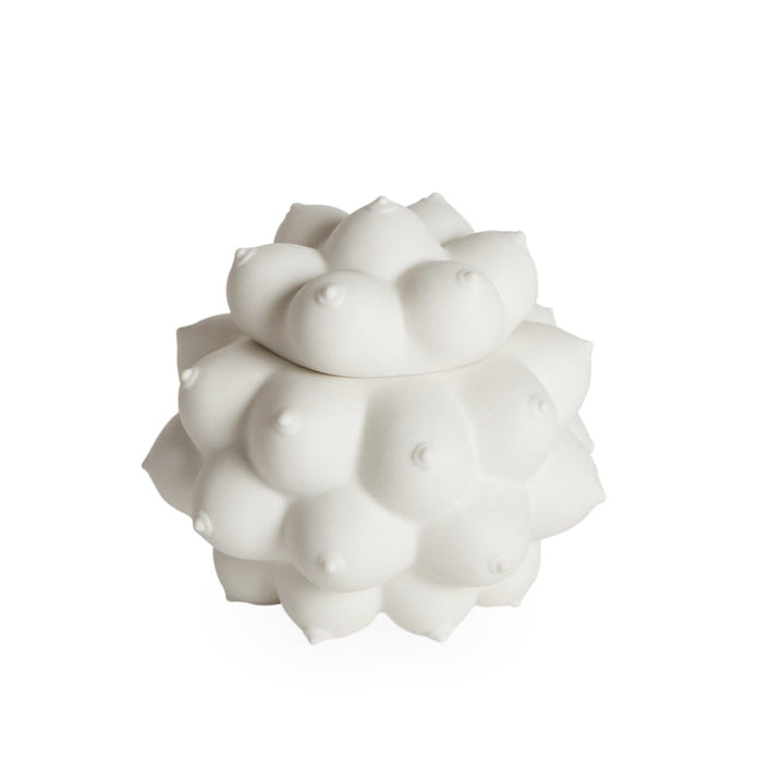Georgia Orb Box Jonathan Adler Default Title
