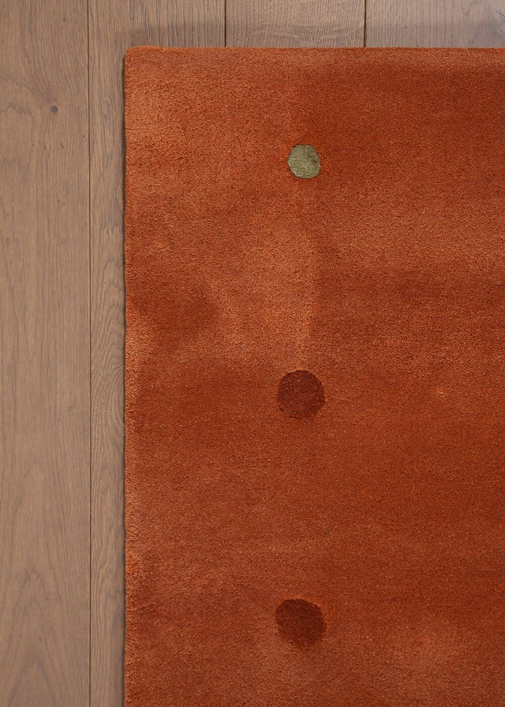 JC-1 Bubbles Rug Rugs Amini