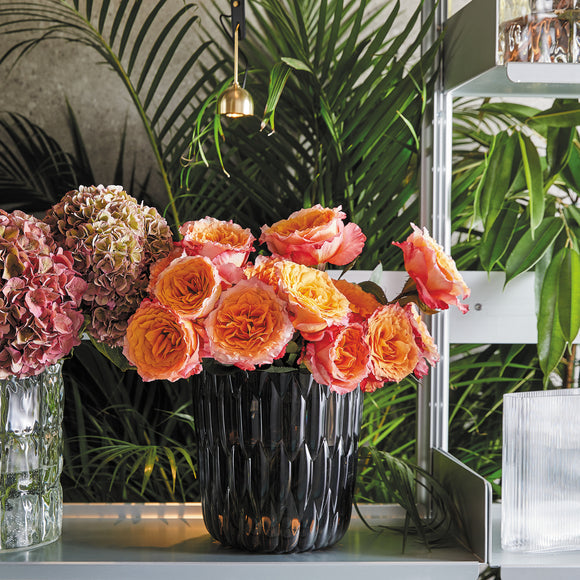 Jelly Vase Vases Kartell