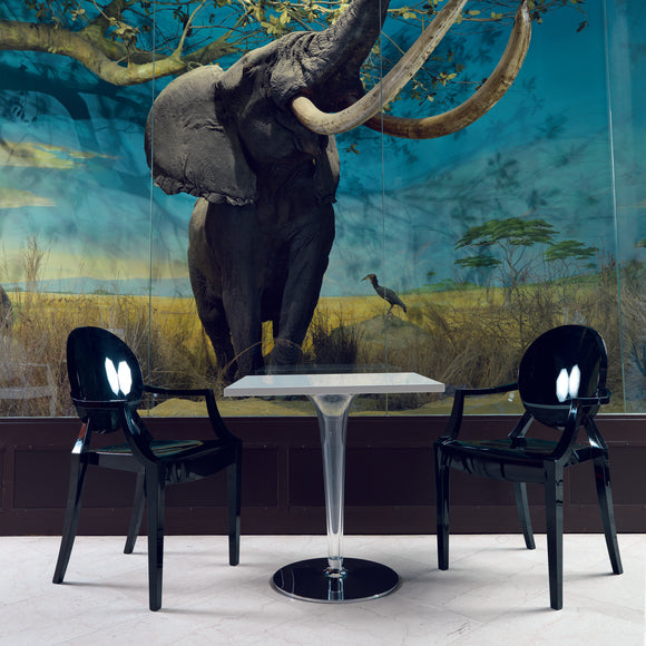 Louis Ghost Chair (Set of 2) Chairs Kartell