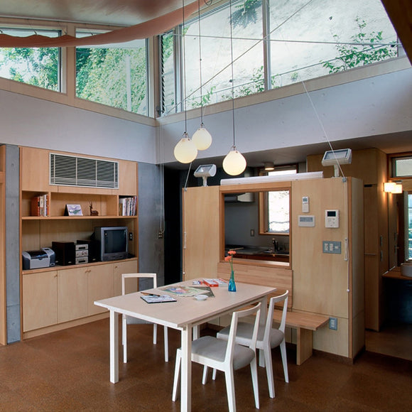 Moser Pendant Light Lighting Louis Poulsen