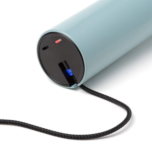 Bouquet Portable Table Lamp Vase Table Lamps Magis