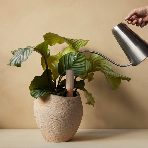 Hydrous Watering Stick (Set of 4) Gardening Audo Copenhagen