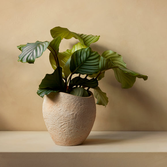 Plantas Planter Planters Audo Copenhagen